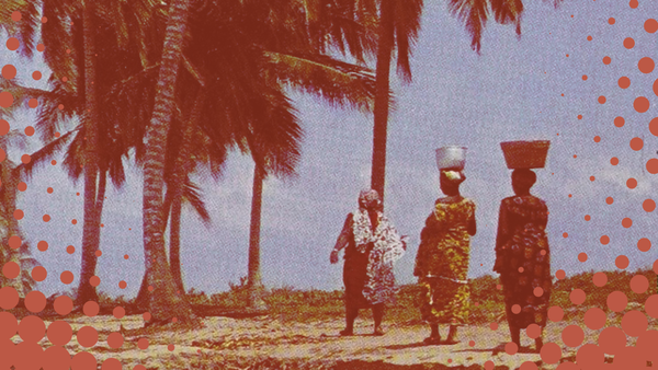 When a Word Becomes a Sentence: The Political Economy Of Witchcraft Accusations